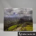 Canvas Prints