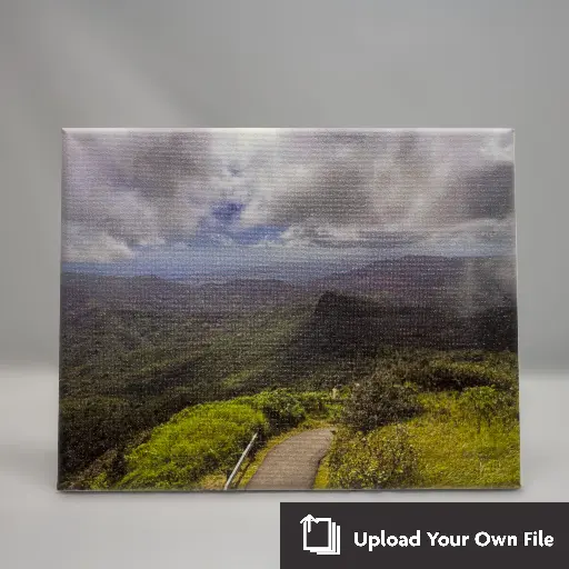 Canvas Prints